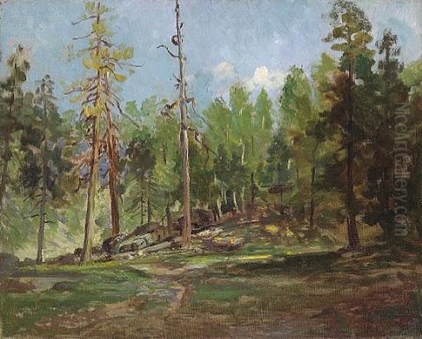 A Clear Spring Mountain Day Oil Painting by John Bond Francisco