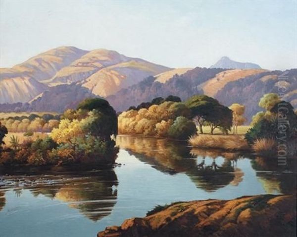 Still Waters, Winter Noon On The Umgazi Oil Painting by Leo Francois