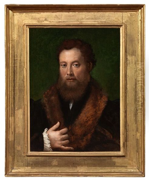 Portrait Of A Gentleman Oil Painting by Innocenzo di Pietro (da Imola) Francucci