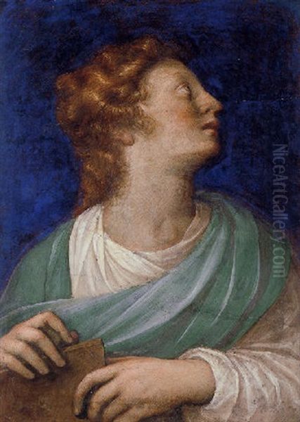 Saint John The Evangelist Oil Painting by Innocenzo di Pietro (da Imola) Francucci