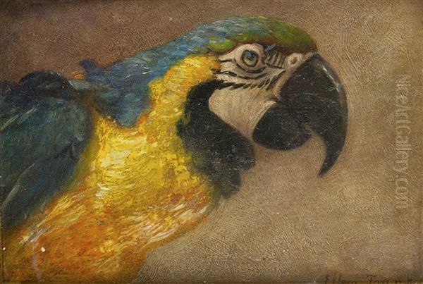 Blue And Gold (ara) Oil Painting by Ellen A. Frank