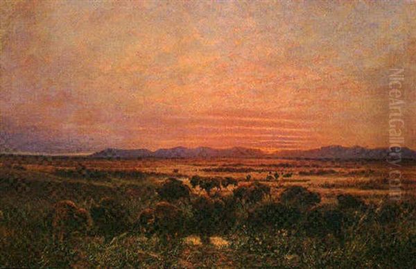 Buffalo Grazing At Sunset Oil Painting by Eugene C. Frank