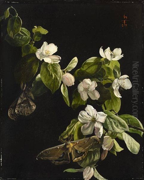 Quince Flowers And Butterflies Oil Painting by Hans Frank