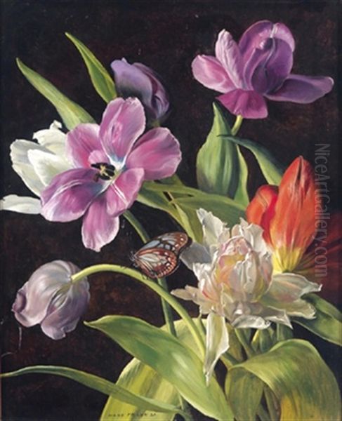 Tulpen Und Schmetterling Oil Painting by Hans Frank