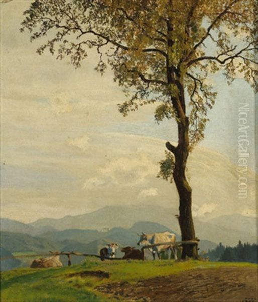 Kuhe Auf Der Weide Oil Painting by Hans Frank