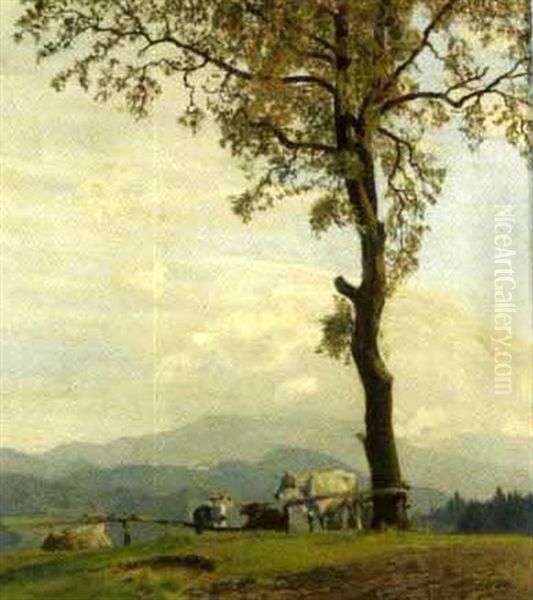 Kuhe Auf Der Weide Oil Painting by Hans Frank