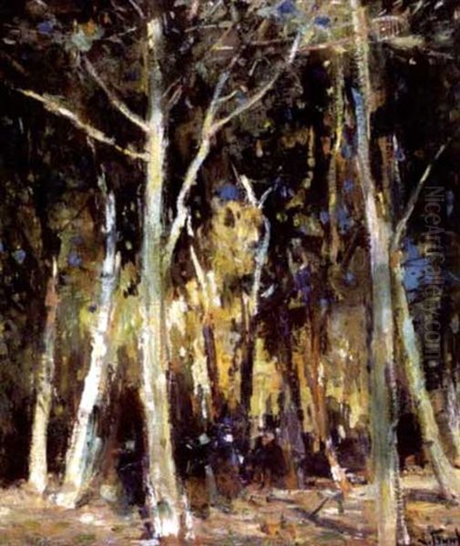 Sous-bois Oil Painting by Lucien Frank