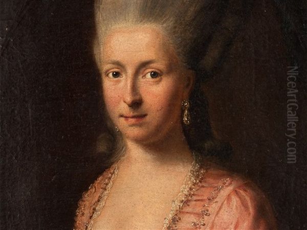 Portrait Of A Lady Oil Painting by Johann Heinrich Christian Franke