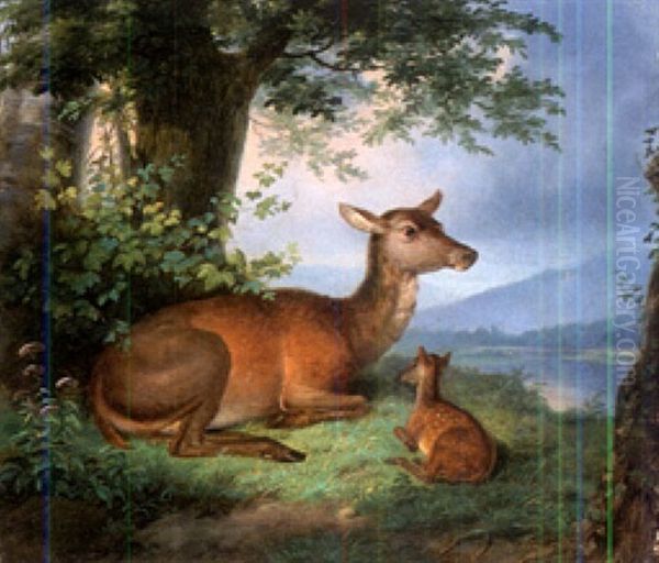 Rotwild In Wiener Auenlandschaft Oil Painting by Johann Frankenberger