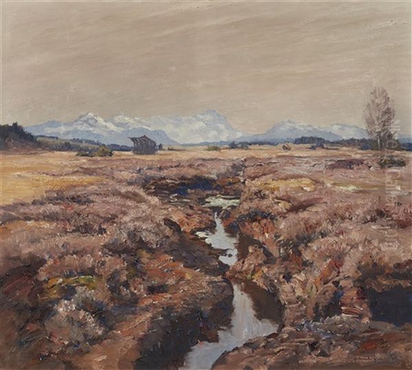 View Of The Moor At Murnau Oil Painting by Franz Xaver Frankl