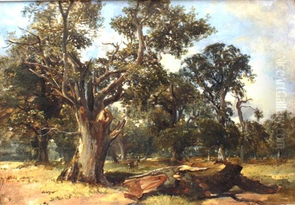 Cadzow Forest Oil Painting by Alexander Fraser the Younger