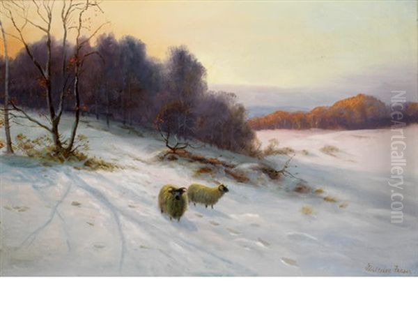 Sheep In Winter Landscape Oil Painting by Malcolm Fraser