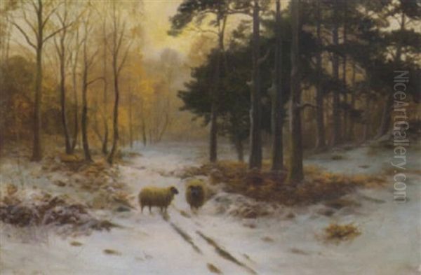 Sheep In A Winter Forest Oil Painting by Malcolm Fraser