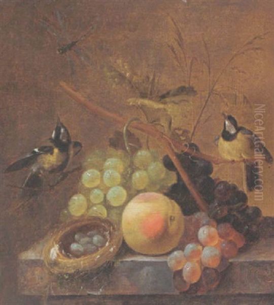 A Still Life Of Grapes, A Peach And A Dragonfly, Together With Blue Tits And A Bird's Nest, Arranged Upon A Marble Ledge Oil Painting by Johannes Hendrik Fredriks