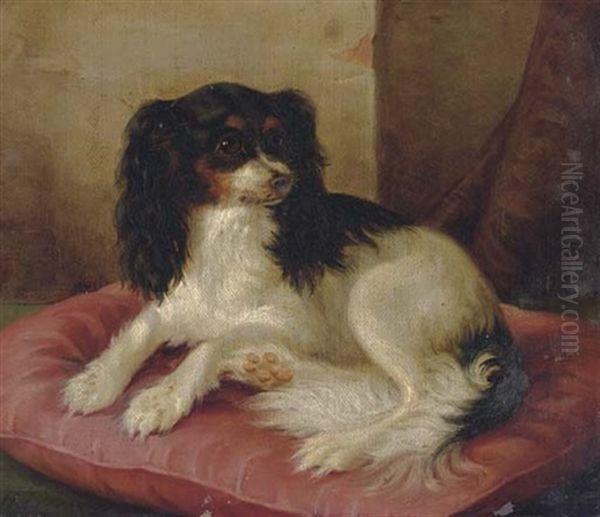 A King Charles Spaniel On A Red Cushion Oil Painting by Herman Freese