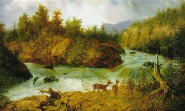 Deer In The North Carolina Mountains Oil Painting by William Charles Anthony Frerichs