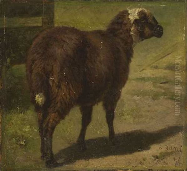 Schaf Oil Painting by Wilhelm Friedrich Frey