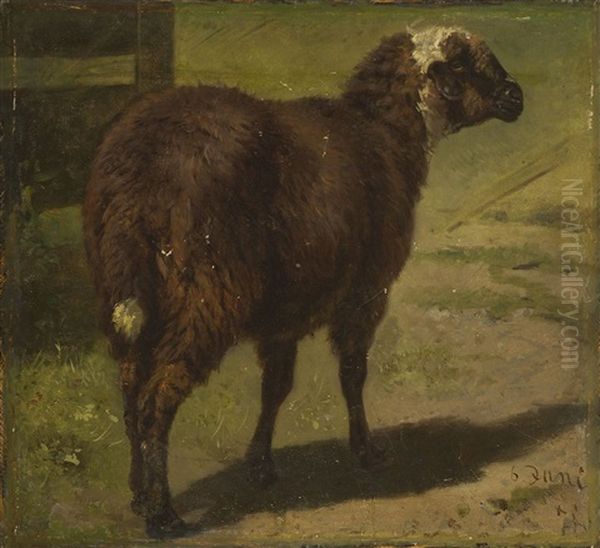 Schaf Oil Painting by Wilhelm Friedrich Frey