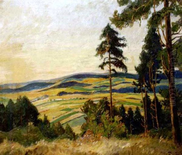 Waldlichtung Mit Blick Auf Hugelige Landschaft Oil Painting by Walter Friederici