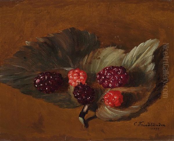 Brombeeren Oil Painting by Camilla Edle von Malheim Friedlaender