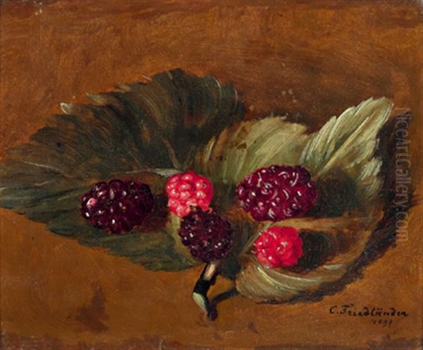 Waldbeeren Oil Painting by Camilla Edle von Malheim Friedlaender