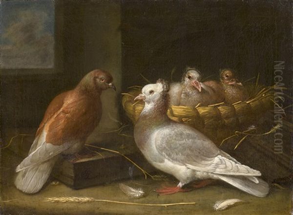 Ein Taubenpaar Mit Zwei Kuken In Ihrem Nest In Einem Weidenkorb Oil Painting by Johann Gottlied Friedrich