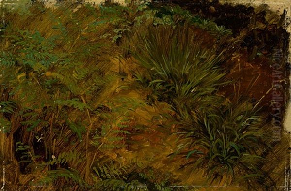 Study Of Grasses And Ferns Oil Painting by Bernhard Fries