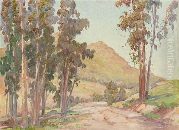 Eucalyptus In Moosa Canyon Oil Painting by Charles Arthur Fries