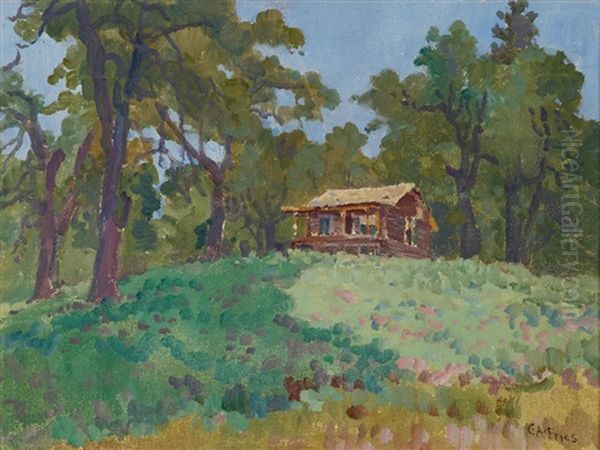 Cabin In The Cuyamacas by Charles Arthur Fries