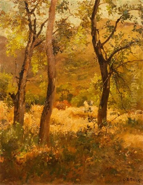 Wooded Landscape Oil Painting by Charles Arthur Fries