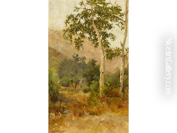 Trees, San Diego Area Oil Painting by Charles Arthur Fries