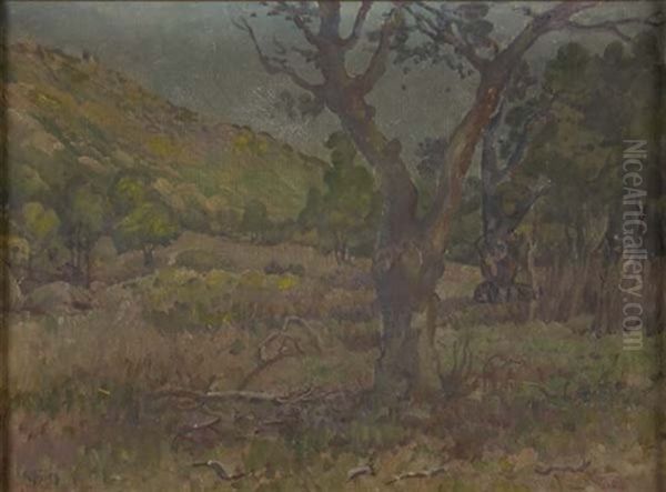 Oaks And Hills Near Muzzy Grade Oil Painting by Charles Arthur Fries