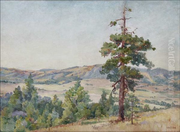 Vulcan Ranch From Pine Hills Oil Painting by Charles Arthur Fries