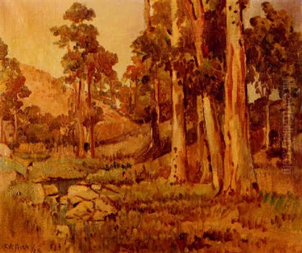 County Park In Spring Valley Oil Painting by Charles Arthur Fries