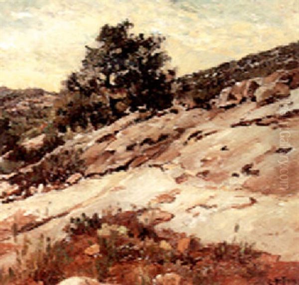 The Rocky Slope Oil Painting by Charles Arthur Fries