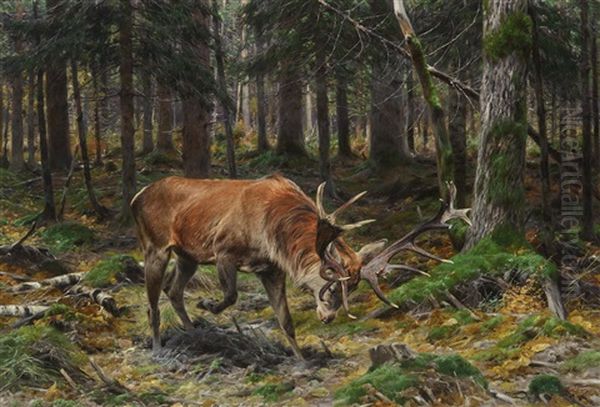 Deer In A Forest Glade Oil Painting by Richard Bernhardt Louis Friese