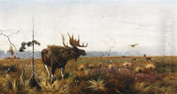 Moose And Deer Herd In An Extensive Landscape Oil Painting by Richard Bernhardt Louis Friese