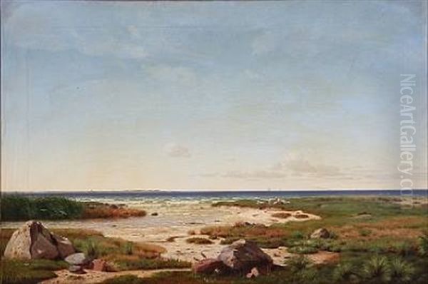 Coastal Scene From Denmark With Grazing Sheeps Oil Painting by Hans Gabriel Friis