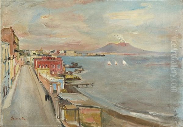 Litorale Napoletano Con Vesuvio Sullo Sfondo Oil Painting by Donato Frisia