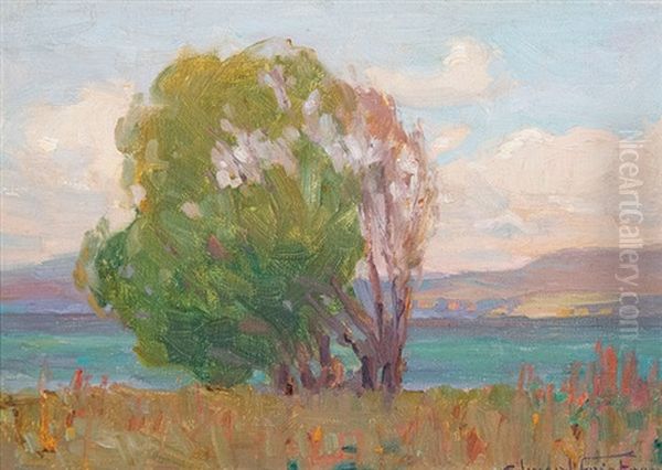 Windswept Tree Oil Painting by Claus Edward Fristrom