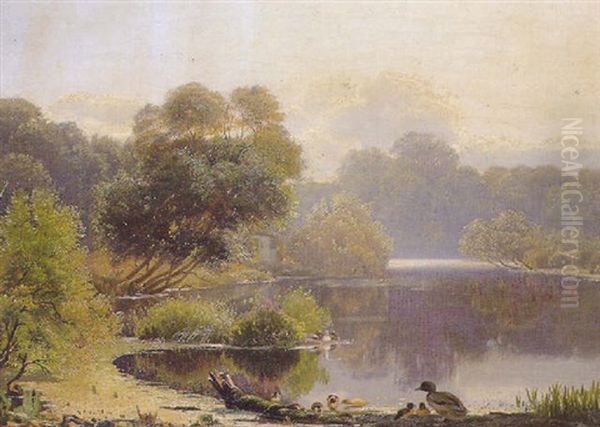 A Family Of Ducks At The Edge Of A Lake Oil Painting by Niels Fristrupp