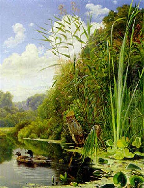 Ducks In The Reeds Oil Painting by Niels Fristrupp