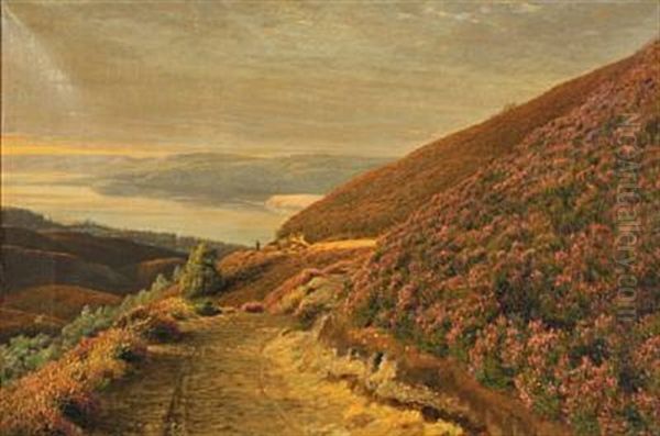 Hilly Landscape At The Lakes Of Silkeborg With Flowering Heather Oil Painting by Andreas Fritz