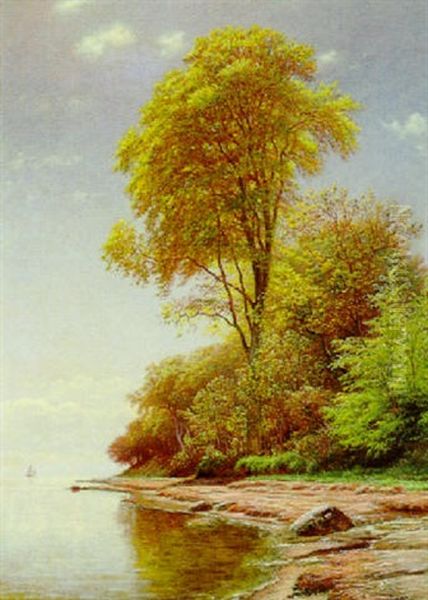 Seeufer Oil Painting by Andreas Fritz