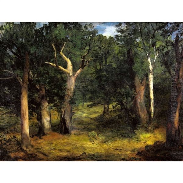 Waldlandschaft Oil Painting by Otto Froehlich