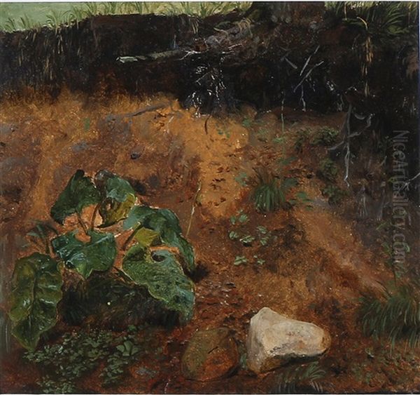 Plants Growing On A Hill Oil Painting by Lorenz Frolich