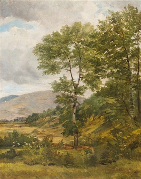 Baumreiche Landschaft Bei Bewolktem Himmel Oil Painting by Otto Froelicher