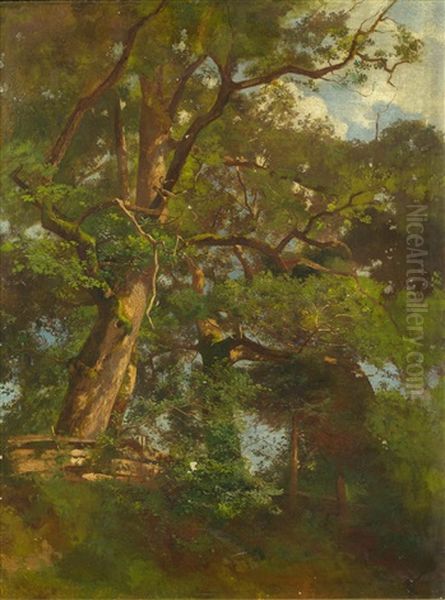 Eichenhain Oil Painting by Otto Froelicher