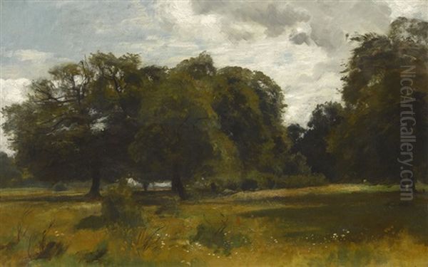 Sommerliche Wiese Am Waldrand Oil Painting by Otto Froelicher