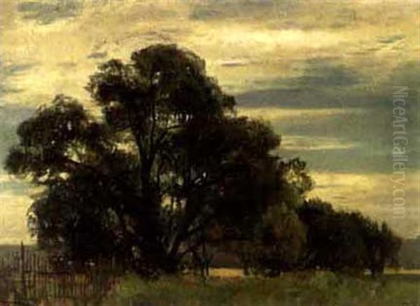 Baumlandschaft Oil Painting by Otto Froelicher